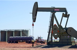 Giải mã các yếu tố hỗ trợ giá dầu mỏ   